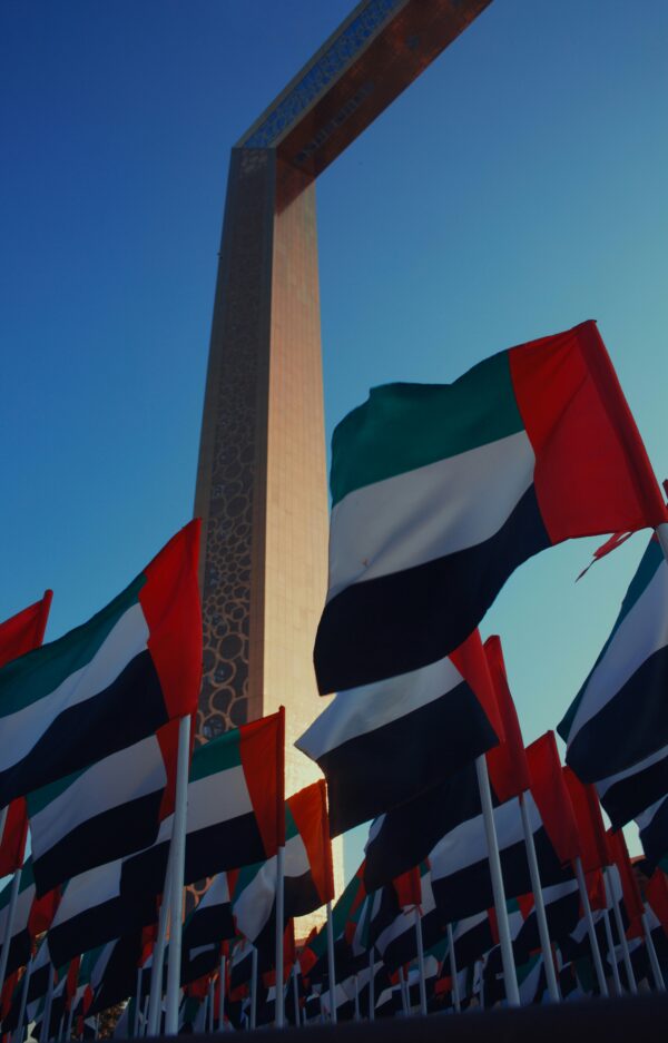 Flags, Flag poles & Bases - Image 2